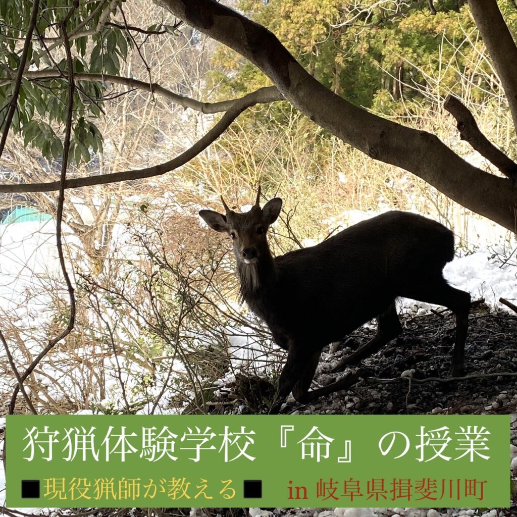 狩猟体験学校-ふるさと納税返礼品