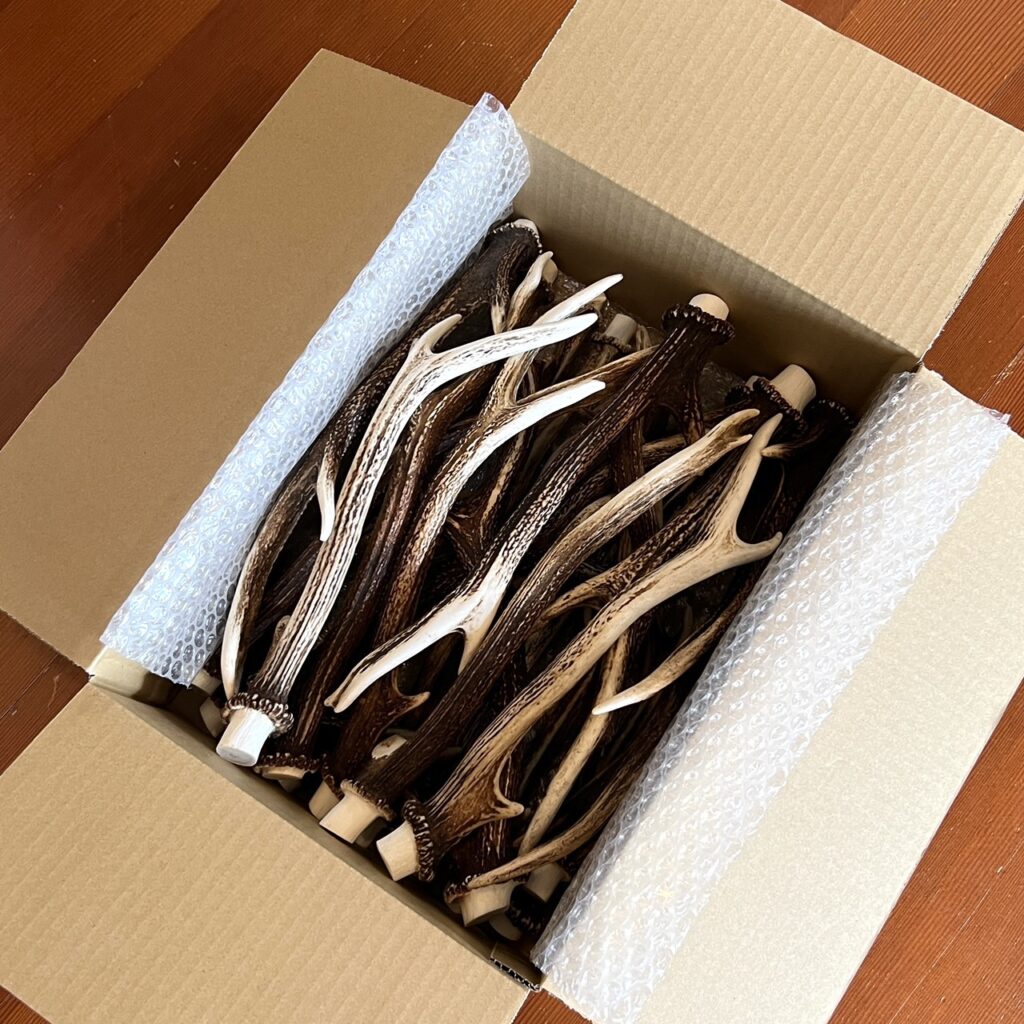 揖斐川町 鹿まるけ.com イメージ画像