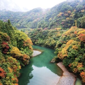 鹿まるけギャラリー（揖斐川・揖斐峡）