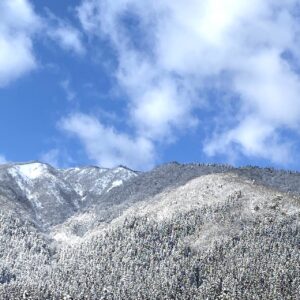 鹿まるけギャラリー（揖斐川町の冬山）