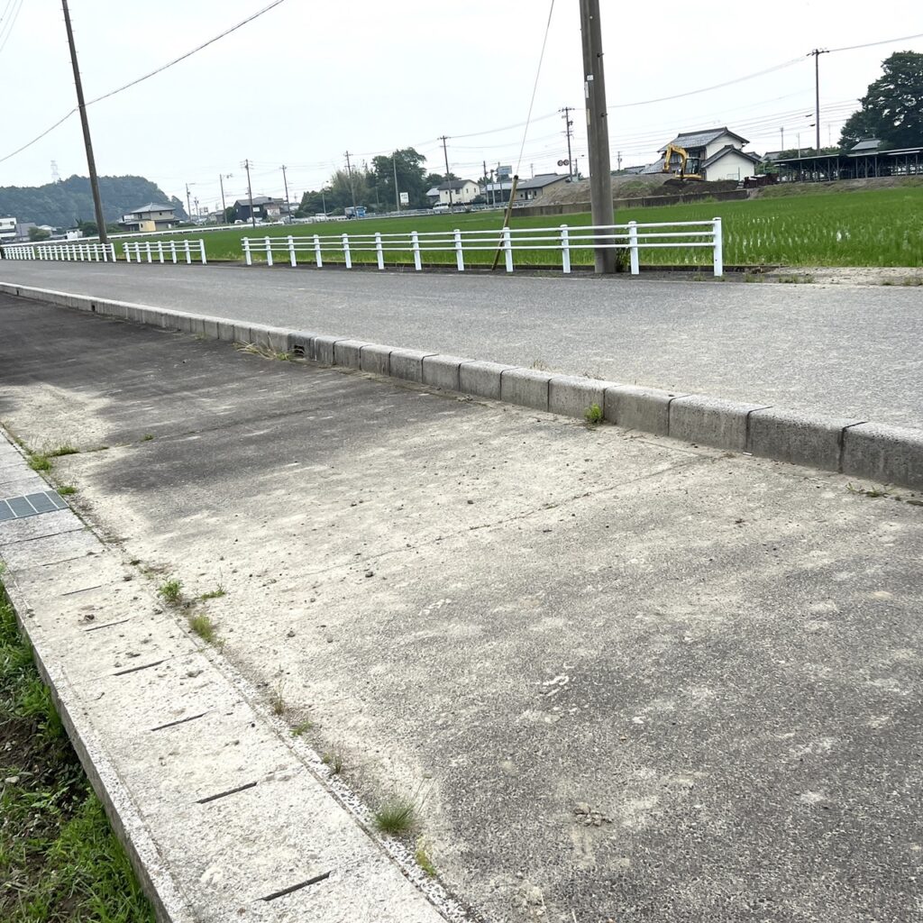 鹿の食害・足跡